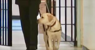 Man Walks Into Prison With Service Dog – Suddenly The Dog Sprints To An Inmate Man Walks Into Prison With Service Dog – Suddenly The Dog Sprints To An Inmate