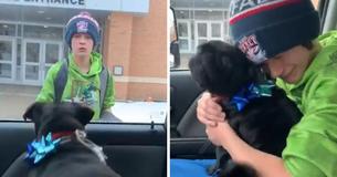 Mom Films Teen Son As He Is Overwhelmed By Reunion With Lost Dog Mom Films Teen Son As He Is Overwhelmed By Reunion With Lost Dog
