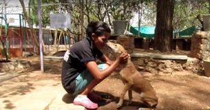 Dog Rescued From Sewer Drain After She Could Barely Keep Her Head Above Water Dog Rescued From Sewer Drain After She Could Barely Keep Her Head Above Water