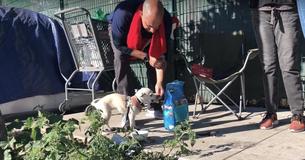 Meet The Vet Walking The Streets Of California Treating Homeless Peoples' Animals For Free Meet The Vet Walking The Streets Of California Treating Homeless Peoples' Animals For Free