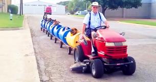 Retired Texas Man Rescues Homeless Stray Dogs and Takes Them On Cute Dog Train Rides Retired Texas Man Rescues Homeless Stray Dogs and Takes Them On Cute Dog Train Rides