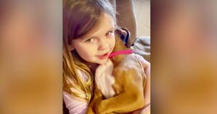 Four-Year-Old Girl Filmed Singing Lullaby To Her Boxer Puppy Four-Year-Old Girl Filmed Singing Lullaby To Her Boxer Puppy