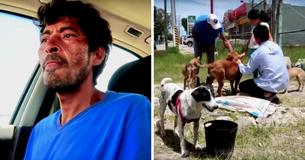 Edgardo Rides Across Mexico On His Tricycle To Rescue Homeless Dogs Edgardo Rides Across Mexico On His Tricycle To Rescue Homeless Dogs