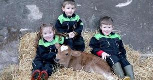 Calf Was Born On Valentine's Day With Heart-Shaped Birthmark Calf Was Born On Valentine's Day With Heart-Shaped Birthmark