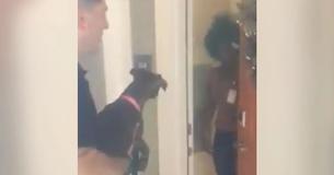 Woman's Car Is Stolen With Her Puppy Inside And Has Elated Reaction To When Police Return Him Woman's Car Is Stolen With Her Puppy Inside And Has Elated Reaction To When Police Return Him