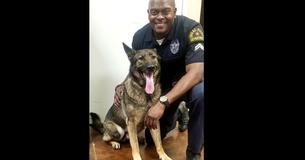 Police Officer On Patrol Takes Selfies With His Dog At Airport And Passerby Notices Police Officer On Patrol Takes Selfies With His Dog At Airport And Passerby Notices