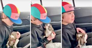 13-Year-Old Boy From Michigan Receives Puppy From His Late Father 13-Year-Old Boy From Michigan Receives Puppy From His Late Father