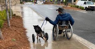 Paralyzed Dog Returned To Shelter Four Times Is Adopted By A Family Who Finally Gets Him Paralyzed Dog Returned To Shelter Four Times Is Adopted By A Family Who Finally Gets Him