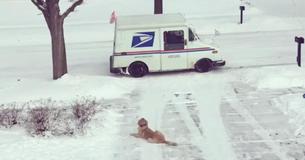 Dog Waits Outside Daily To Give His Favorite Mailman A Hug Dog Waits Outside Daily To Give His Favorite Mailman A Hug