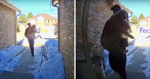 Ce chauffeur de FedEx ramène un chien perdu à la maison après sa fuite Ce chauffeur de FedEx ramène un chien perdu à la maison après sa fuite