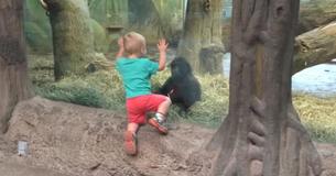 Un petit garçon se promène avec un bébé gorille au zoo et ils commencent à jouer à un jeu adorable Un petit garçon se promène avec un bébé gorille au zoo et ils commencent à jouer à un jeu adorable