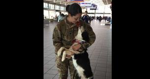 Une chienne n'arrive pas à cacher sa joie en regardant sa propriétaire soldat revenir d'un déploiement Une chienne n'arrive pas à cacher sa joie en regardant sa propriétaire soldat revenir d'un déploiement
