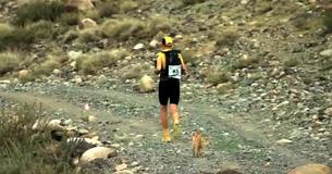 Un cucciolo randagio si unisce all'ultramaratona e si ritrova con un nuovo padrone Un cucciolo randagio si unisce all'ultramaratona e si ritrova con un nuovo padrone