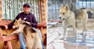 Missing Dog Visits Texas Police Station Then Goes Back Home To His Owner Missing Dog Visits Texas Police Station Then Goes Back Home To His Owner