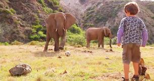 Elephant Melts Hearts Playing Soccer With 5-Year-Old Boy Elephant Melts Hearts Playing Soccer With 5-Year-Old Boy