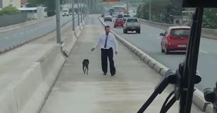 Un chauffeur de bus applaudis après s'être arrêté pour sauver un chien au milieu de l'autoroute Un chauffeur de bus applaudis après s'être arrêté pour sauver un chien au milieu de l'autoroute