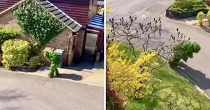 Bizarre Moment Couple See Neighbor's Ingenious Attempt To Go Outside Unnoticed During Coronavirus Lockdown - Dressed As A Bush Bizarre Moment Couple See Neighbor's Ingenious Attempt To Go Outside Unnoticed During Coronavirus Lockdown - Dressed As A Bush