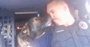 Oficial dá último adeus a querido Cão-Policial em chamada final de radio Oficial dá último adeus a querido Cão-Policial em chamada final de radio