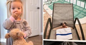 Le personnel d'un hôtel envoie des photos du chien en peluche d'une petite fille après qu'elle l'ai oublié à l'hôtel Le personnel d'un hôtel envoie des photos du chien en peluche d'une petite fille après qu'elle l'ai oublié à l'hôtel