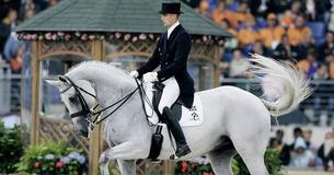 El caballo de trote hace un baile elegante al ritmo de música <em>pop</em> El caballo de trote hace un baile elegante al ritmo de música <em>pop</em>