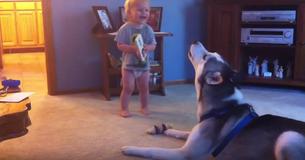 Baby Has Hilarious Family Room Conversation With Husky Baby Has Hilarious Family Room Conversation With Husky