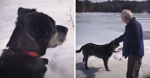 Senior Saves Abandoned Puppy Unaware That Years Later The Dog Would Save His Life Senior Saves Abandoned Puppy Unaware That Years Later The Dog Would Save His Life