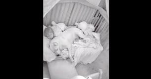 Dad Uploaded Video Of His 100-Pound Pit Bull Sleeping In Crib With Toddler Dad Uploaded Video Of His 100-Pound Pit Bull Sleeping In Crib With Toddler