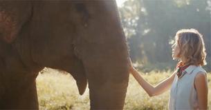 Vacationers Can Now Sleep With Elephants Beneath Stars In 'Jungle Bubble' Vacationers Can Now Sleep With Elephants Beneath Stars In 'Jungle Bubble'
