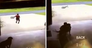 Un garçon se faufile dans le garage d'un étranger tous les jours pour câliner son chien Un garçon se faufile dans le garage d'un étranger tous les jours pour câliner son chien