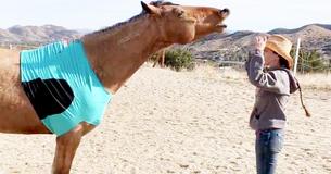 Une femme lance un tout nouveau défi en incluant son cheval dans sa routine de danse Une femme lance un tout nouveau défi en incluant son cheval dans sa routine de danse