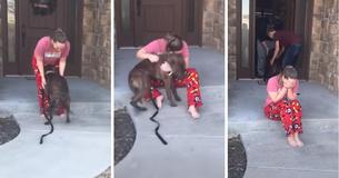 Pais adotam em segredo o cachorro que a filha estava cuidando no abrigo Pais adotam em segredo o cachorro que a filha estava cuidando no abrigo