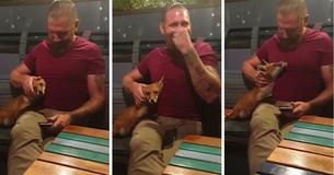 Adorable: un zorro se acerca a un hombre en un bar y se acurruca con él Adorable: un zorro se acerca a un hombre en un bar y se acurruca con él