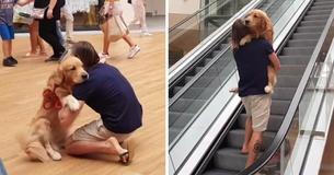 Dog Is Too Frightened To Step Onto An Escalator — Owner Carries Him Like A Baby Dog Is Too Frightened To Step Onto An Escalator — Owner Carries Him Like A Baby