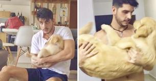 Golden Retriever Has Loved Being Rocked Like A Baby Since She Was A Puppy Golden Retriever Has Loved Being Rocked Like A Baby Since She Was A Puppy