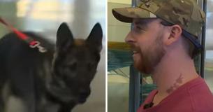 Un chien court dans les bras d'un soldat après trois ans de séparation Un chien court dans les bras d'un soldat après trois ans de séparation