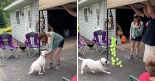 Mom Treats Her Dog To A Custom Piñata That’s Filled With Tennis Balls Mom Treats Her Dog To A Custom Piñata That’s Filled With Tennis Balls