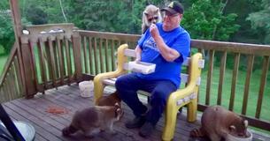 Sixty-Year-Old Takes Plethora Of Wild Racoons Under His Wing Sixty-Year-Old Takes Plethora Of Wild Racoons Under His Wing