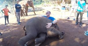 Hugs From A Baby Elephant? Don't Mind If We Do Hugs From A Baby Elephant? Don't Mind If We Do