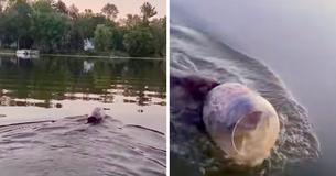Boaters Save Young Bear Swimming With Plastic Tub Stuck On His Head Boaters Save Young Bear Swimming With Plastic Tub Stuck On His Head