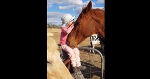 Horse Fell In Love With Sweet 3-Year-Old Upon Hearing Girl Sing Horse Fell In Love With Sweet 3-Year-Old Upon Hearing Girl Sing