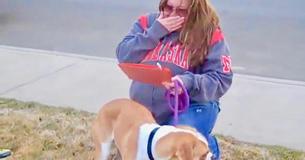 Estaba cuidando a una perra mientras la adoptaban, pero se llevó una gran sorpresa Estaba cuidando a una perra mientras la adoptaban, pero se llevó una gran sorpresa