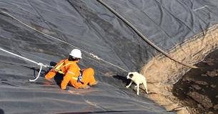 Workers Rescue Dog And Her Puppy Trapped In A Water Pit Workers Rescue Dog And Her Puppy Trapped In A Water Pit
