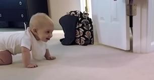 Cachorrinha carinhosamente elogia primeira engatinhada de bebê Cachorrinha carinhosamente elogia primeira engatinhada de bebê