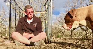 Une chienne négligée sauvé après quinze mois de vie en solitaire dans un verger Une chienne négligée sauvé après quinze mois de vie en solitaire dans un verger