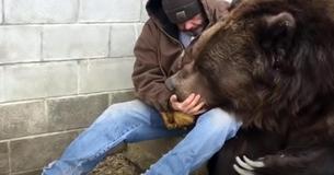 Ein Bär bekommt eine Umarmung von einem Menschen, die er nach einem langen Tag brauchte Ein Bär bekommt eine Umarmung von einem Menschen, die er nach einem langen Tag brauchte