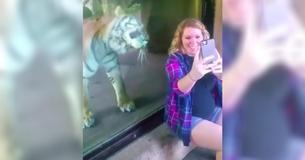 Frau filmte schwangere Freundin, die Selfie mit einem Tiger machte und hielt den Moment fest, als die Katze ihren Babybauch bemerkte Frau filmte schwangere Freundin, die Selfie mit einem Tiger machte und hielt den Moment fest, als die Katze ihren Babybauch bemerkte