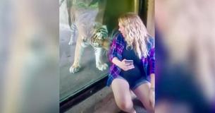 Frau filmt schwangere Freundin, die mit dem Tiger ein Selfie macht und den Moment festhält, als die Katze ihren Babybauch bemerkt Frau filmt schwangere Freundin, die mit dem Tiger ein Selfie macht und den Moment festhält, als die Katze ihren Babybauch bemerkt