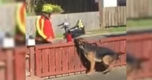 Brevbärare går fram till grannens 'aggressiva' hund och har ingen aning om att han blir inspelad Brevbärare går fram till grannens 'aggressiva' hund och har ingen aning om att han blir inspelad