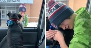 Mamá sorprende a su hijo en la escuela con su perrita perdida Mamá sorprende a su hijo en la escuela con su perrita perdida