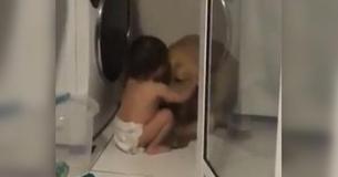 Barn beroliger hund i løbet af stormvejr Barn beroliger hund i løbet af stormvejr